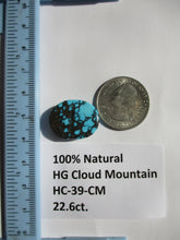Load image into Gallery viewer, 22.6 ct. (22x17x7 mm) 100% Natural High Grade Web Cloud Mountain (Hubei)) Turquoise Cabochon Gemstone, HC 39