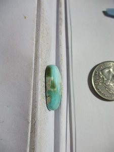 20.6 ct (24x20x6 mm) 100% Natural Royston Turquoise Cabochon Gemstone, 1DM 20
