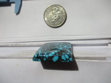 Load image into Gallery viewer, 72.0 ct. (34x28x6.5 mm) 100% Natural High Grade Web Cloud Mountain (Hubei) Turquoise Cabochon Gemstone, HC 20