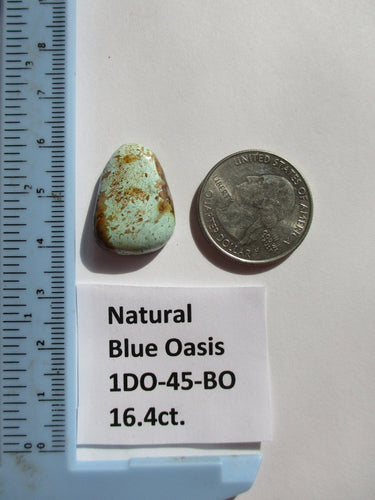 16.4 ct. (23x17x6 mm) Natural Blue Oasis Turquoise (backed) Cabochon Gemstone, 1DO 45