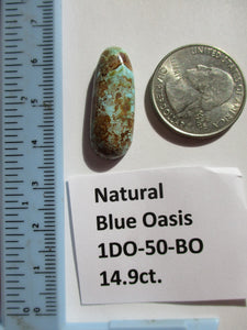 14.9 ct. (29x11x6 mm) Natural Blue Oasis Turquoise (backed) Cabochon Gemstone, 1DO 50