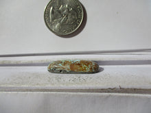 Load image into Gallery viewer, 14.9 ct. (29x11x6 mm) Natural Blue Oasis Turquoise (backed) Cabochon Gemstone, 1DO 50