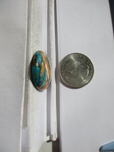 30.4 ct. (26x23x6 mm) Pressed/Stabilized Kingman Spiny Oyster Turquoise Cabochon, Gemstone, 1DG 59