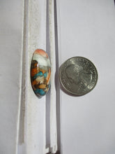 Load image into Gallery viewer, 30.4 ct. (26x23x6 mm) Pressed/Stabilized Kingman Spiny Oyster Turquoise Cabochon, Gemstone, 1DG 59