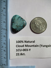 Load image into Gallery viewer, 22.9 ct. (27.5x22x4.5 mm) 100% Natural Web Cloud Mountain (Hubei) Turquoise Cabochon Gemstone, 1CU 003