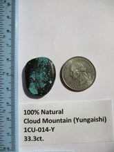 Load image into Gallery viewer, 33.3 ct. (27.5x22x6 mm) 100% Natural Cloud Mountain (Hubei) Turquoise Cabochon Gemstone, 1CU 014