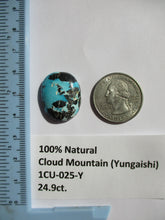 Load image into Gallery viewer, 24.9 ct. (24x19x7 mm) 100% Natural Cloud Mountain (Hubei) Turquoise Cabochon Gemstone, 1CU 025