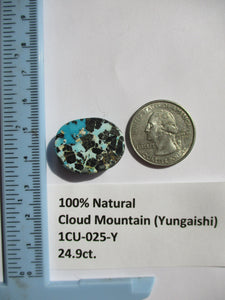 24.9 ct. (24x19x7 mm) 100% Natural Cloud Mountain (Hubei) Turquoise Cabochon Gemstone, 1CU 025