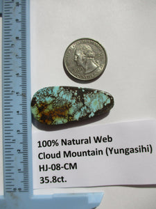35.8 ct. (44x20x5 mm) 100% Natural Cloud Mountain Web Polychrome (Hubei) Turquoise Cabochon Gemstone, # HJ 08