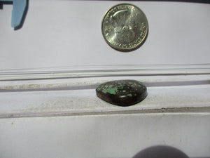 28.2 ct. (24x23.5x7 mm) Stabilized Qingu Mine (Hubei) Turquoise Cabochon, Gemstone, 1CW 060