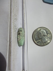 12.4 ct. (22x15x5 mm) 100% Natural Rare Grasshopper Turquoise Cabochon Gemstone, # 2AM 008 s