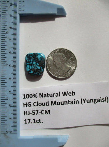 17.1 ct. (18x16x6 mm) 100% Natural High Grade Web Cloud Mountain (Hubei) Turquoise Cabochon Gemstone, # HJ 57