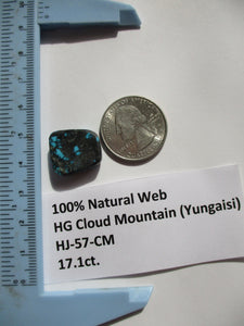 17.1 ct. (18x16x6 mm) 100% Natural High Grade Web Cloud Mountain (Hubei) Turquoise Cabochon Gemstone, # HJ 57