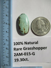 Load image into Gallery viewer, 19.3 ct. (27x14x6 mm) 100% Natural Rare Grasshopper Turquoise Cabochon Gemstone, # 2AM 015 s