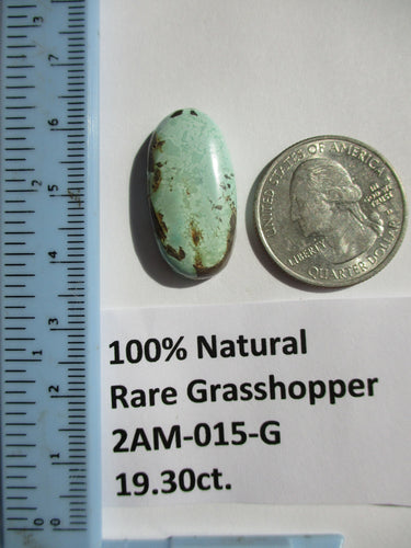 19.3 ct. (27x14x6 mm) 100% Natural Rare Grasshopper Turquoise Cabochon Gemstone, # 2AM 015 s