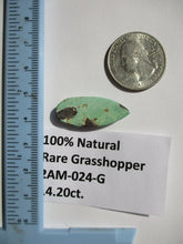 Load image into Gallery viewer, 14.2 ct. (28.5x12x5 mm) 100% Natural Rare Grasshopper Turquoise Cabochon Gemstone, # 2AM 024 s