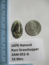 Load image into Gallery viewer, 18.9 ct. (27x16x6 mm) 100% Natural Rare Grasshopper Turquoise Cabochon Gemstone, # 2AM 051 s