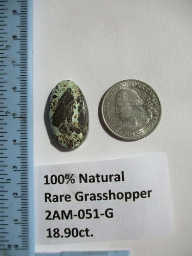 18.9 ct. (27x16x6 mm) 100% Natural Rare Grasshopper Turquoise Cabochon Gemstone, # 2AM 051 s