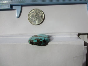 38.6 ct. (30x25x5.5 mm) 100% Natural High Grade Web Bamboo Mountain (Hubei) Turquoise Cabochon Gemstone, # HO 70