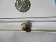 Load image into Gallery viewer, 14.9 ct. (29x11x6 mm) Natural Blue Oasis Turquoise (backed) Cabochon Gemstone, 1DO 50