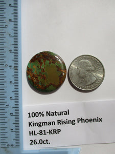 26.0 ct. (27 round x 4.5 mm) 100% Natural Kingman Rising Phoenix Turquoise Cabochon Gemstone, HL 81