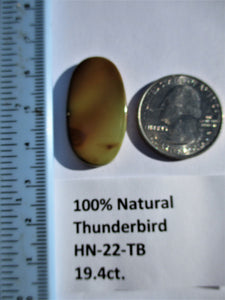 19.4 ct. (32x17x4 mm) 100% Natural Thunderbird Turquoise Cabochon Gemstone, HN 22