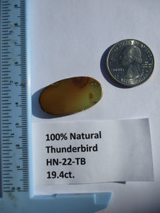 19.4 ct. (32x17x4 mm) 100% Natural Thunderbird Turquoise Cabochon Gemstone, HN 22