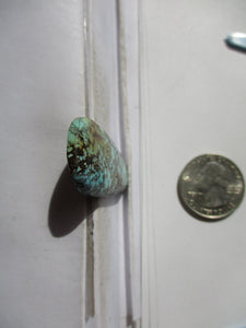 35.8 ct. (44x20x5 mm) 100% Natural Cloud Mountain Web Polychrome (Hubei) Turquoise Cabochon Gemstone, # HJ 08