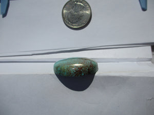 53.9 ct. (30.5 round x 7.5 mm) Stabilized Web #8 Turquoise Cabochon Gemstone, # HP 75