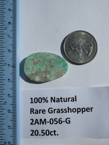 20.5 ct. (30x20x4.5 mm) 100% Natural Rare Grasshopper Turquoise Cabochon Gemstone, # 2AM 056 s