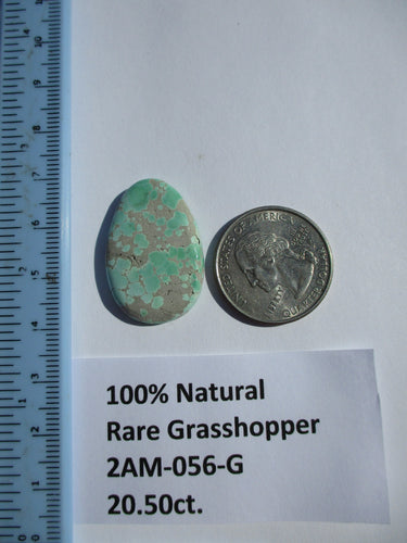 20.5 ct. (30x20x4.5 mm) 100% Natural Rare Grasshopper Turquoise Cabochon Gemstone, # 2AM 056 s