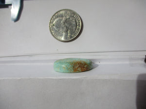 22.6 ct (25.5x17.5x6 mm) 100% Natural Royston Turquoise Cabochon Gemstone, # HL 15