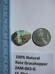 15.3 ct. (25x19x4 mm) 100% Natural Rare Grasshopper Turquoise Cabochon Gemstone, # 2AM 063 s