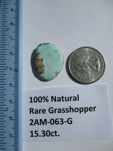15.3 ct. (25x19x4 mm) 100% Natural Rare Grasshopper Turquoise Cabochon Gemstone, # 2AM 063 s