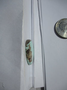 15.3 ct. (25x19x4 mm) 100% Natural Rare Grasshopper Turquoise Cabochon Gemstone, # 2AM 063 s