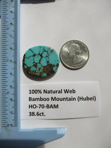 38.6 ct. (30x25x5.5 mm) 100% Natural High Grade Web Bamboo Mountain (Hubei) Turquoise Cabochon Gemstone, # HO 70