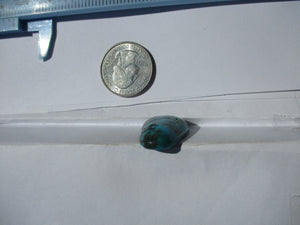 25.6 ct (30x19x6.5 mm) Stabilized Kingman Ceremonial Turquoise Cabochon Gemstone, # 1DX 49