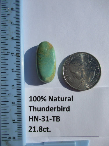 21.8 ct. (26x13x7 mm) 100% Natural Thunderbird Turquoise Cabochon Gemstone, HN 31
