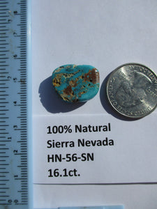 16.1 ct. (20x16.5x5.5 mm) 100% Natural Sierra Nevada Turquoise Cabochon Gemstone, # HN 56