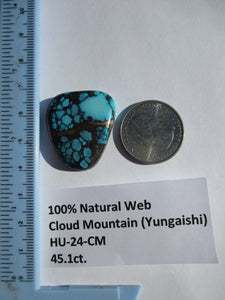 45.1 ct. (30x26x6.5 mm) 100% Natural High Grade Web Cloud Mountain (Hubei) Turquoise Cabochon Gemstone, # HU 24
