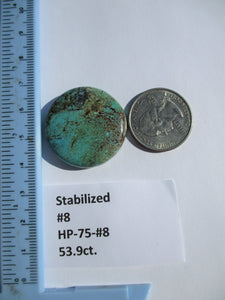53.9 ct. (30.5 round x 7.5 mm) Stabilized Web #8 Turquoise Cabochon Gemstone, # HP 75