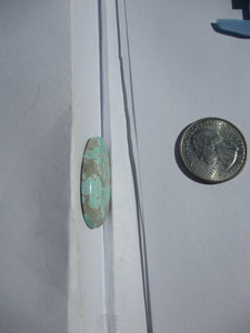 20.5 ct. (30x20x4.5 mm) 100% Natural Rare Grasshopper Turquoise Cabochon Gemstone, # 2AM 056 s