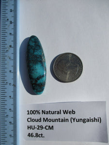 46.8 ct. (49x16x7 mm) 100% Natural Web Cloud Mountain (Hubei) Turquoise Cabochon Gemstone, # HU 29