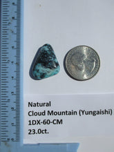 Load image into Gallery viewer, 23.0 ct. (25x18x7 mm) 100% Natural  Web Cloud Mountain (Yungaishi) Turquoise  Cabochon, Gemstone, # 1DX 60