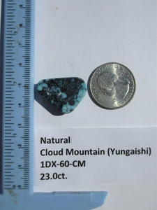 23.0 ct. (25x18x7 mm) 100% Natural  Web Cloud Mountain (Yungaishi) Turquoise  Cabochon, Gemstone, # 1DX 60