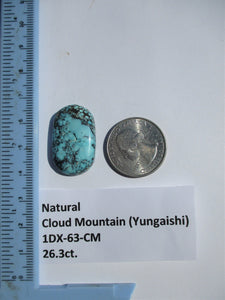 26.3 ct. (28.5x17x5x6 mm) 100% Natural  Web Cloud Mountain (Yungaishi) Turquoise  Cabochon, Gemstone, # 1DX 63