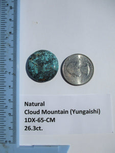 26.3 ct. (25x24x5 mm) 100% Natural  Web Cloud Mountain (Yungaishi) Turquoise  Cabochon, Gemstone, # 1DX 65