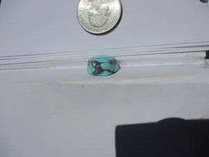 17.1 ct. (17x15x8 mm) 100% Natural Web Blue Moon Turquoise Cabochon Gemstone # HT 61