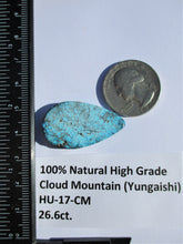 Load image into Gallery viewer, 26.6 ct. (33x19x5 mm) 100% Natural Web Cloud Mountain (Hubei) Turquoise Cabochon Gemstone, # HU 17