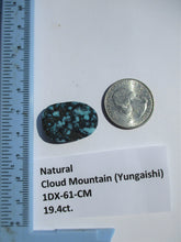 Load image into Gallery viewer, 19.4 ct. (26x18.5x4.5 mm) 100% Natural  Web Cloud Mountain (Yungaishi) Turquoise  Cabochon, Gemstone, # 1DX 61